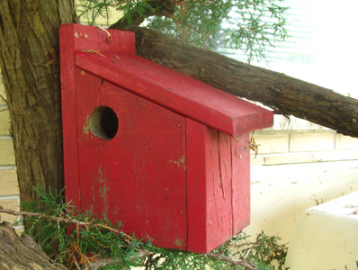 Red Painted Birdhouse in Cedar
