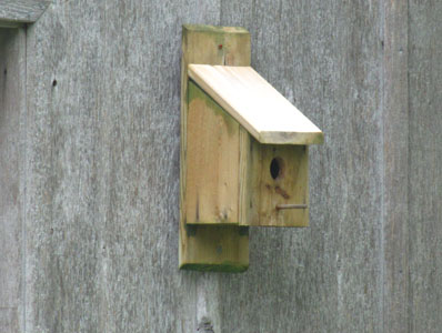 Pine Birdhouse with large perch