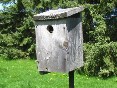 Wooden Simple Box Birdhouse
