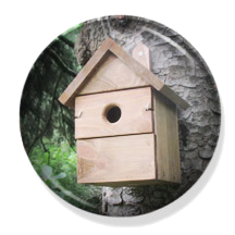 Tips for bird house design and building. Before Buying a birdhouse or before building a birdhouse there are several things you should consider. What attracts birds to a house? Birdhouse entrance hole size, correct interior dimensions, distance from the bottom of the birdhouse to entrance hole, easy to clean birdhouse, what construction materials to use to build a birdhouse, treated versus untreated wood for birdhouses, mounting your birdhouse, should I add ventilation holes to my birdhouse? How much air ciculation do bird houses need? Do birdhouses require drainage holes? What urethane should I use to coat the birdhouse? Are perches ok? Are perches on birdhouses bad? Should I add a perch to my birdhouse? Should I cut off the perch on my birdhouse? How do I view the birdhouse in my birdhouse? Do birds like apartment birdhouses? What bird species live in communities? What are favourable materials for building a birdhouse? What material should the birdhouse roof be made of? What preservative should I use to coat the birdhouse? How many drainage holes should my bird house have? How often should I clean out my birdhouse nest? Should I paint or varnish the inside of the birdhouse? Should the bird house interior be coated? What colors should I paint a birdhouse? Do perches make it easier for predators to reach nestlings? Can racoons open hinged birdhouses? What makes a birdhouse bird-friendly? What is the proper entrance hole height? The entrance hight is measured from the floor of the box to the bottom of the entrance hole.