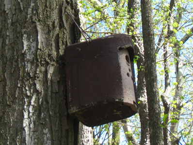 Concrete Birdhouse with Metal Roof