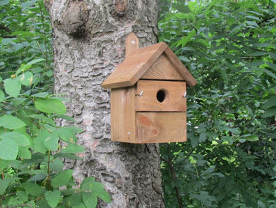 Wooden Cedar Birdhouse