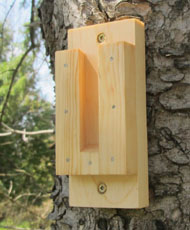 Birdhouse bracket saves time and hassle Drainage holes moisture perch materials cedar clay plastic metal composite lumber wood pine spruce outgas non toxic paint colour white light dark squash preserving water based urethane polywhey exterior finish UV resistant maintenance clean cleaning out mounting house sparrow north south east west dummy territorial nests Wren Chickadee Nuthatch building the best birdhouse design how to build make hole size chart store in Toronto Canada sell to purchase etsy store ebay shop birdhouse designs materials mounting on pole opening size plans to build pictures paint roof yard art pest control