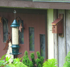 Birdhouse Placed Near Feeder Drainage holes moisture perch materials cedar clay plastic metal composite lumber wood pine spruce outgas non toxic paint colour white light dark squash preserving water based urethane polywhey exterior finish UV resistant maintenance clean cleaning out mounting house sparrow north south east west dummy territorial nests Wren Chickadee Nuthatch building the best birdhouse design how to build make hole size chart store in Toronto Canada sell to purchase etsy store ebay shop birdhouse designs materials mounting on pole opening size plans to build pictures paint roof yard art pest control