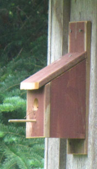 Birdhouse with large Perch Drainage holes moisture perch materials cedar clay plastic metal composite lumber wood pine spruce outgas non toxic paint colour white light dark squash preserving water based urethane polywhey exterior finish UV resistant maintenance clean cleaning out mounting house sparrow north south east west dummy territorial nests Wren Chickadee Nuthatch building the best birdhouse design how to build make hole size chart store in Toronto Canada sell to purchase etsy store ebay shop birdhouse designs materials mounting on pole opening size plans to build pictures paint roof yard art pest control