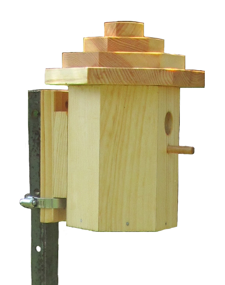 How to mount a birdhouse on a post, barn, shed, house, fence, or tree. Avoid hanging a birdhouse as many birds do not approve of swinging in the wind. By mounting a birdhouse with a mounting bracket, you are able to monitor periodically by checking to see what species of bird is using your birdhouse as well as how many eggs or young are in the nest. Weekly monitoring is recommended to avoid problems with parasites or losses due to predators. Choosing an easy to open birdhouse with a mounting bracket makes monitoring easier.