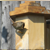 Do chickadees or other birds prefer multiple entrance holes in birdhouses? What is the best material to use for a birdhouse? What is the best possible birdhouse for wrens that I can buy? What birdhouse design do chickadees prefer? What features should be incorporated in every birdhouse? 