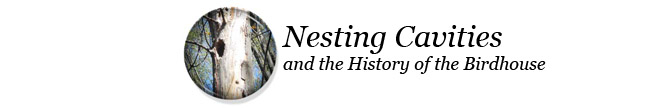 The History of birdhouses and nesting cavities