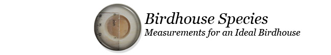 Birdhouse Species - Birdhouse Measurements - Measurements for an ideal Birdhouse