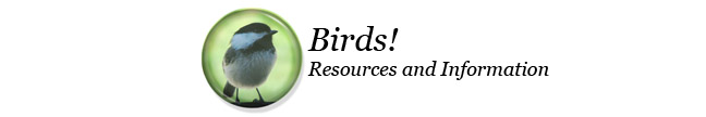 Bird Resources and Information